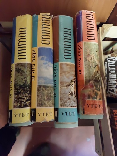 Vita degli animali - la,