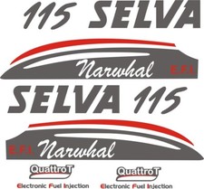 KIT ADESIVI SOSTITUTIVI PER MOTORE FUORIBORDO SELVA narwhal 115 HP SPED GRATUITA