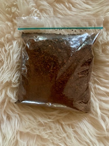 Chaga polvere essiccato - in, polvere,