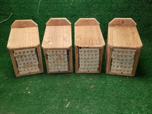 Case mason bee house - bee,