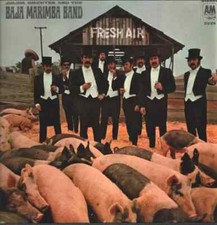 Baja marimba band - baja, fresh