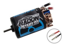 Team Associated 27466 Reedy