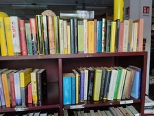 LOTTO 100 LIBRI -COPERTINA RIGIDA CARTONATA - EURO  0,50 L' UNO  NARR. STRANIERA