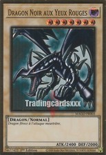 Yu-Gi-Oh! Dragon Noir aux