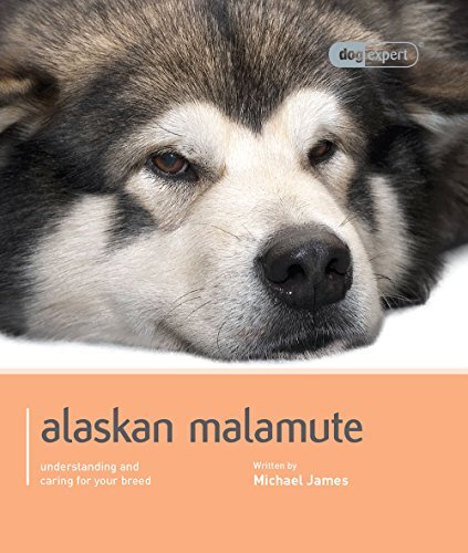 Alaskan malamute dog - alaskan,