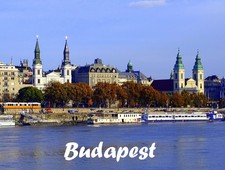 Calamita frigorifero Budapest