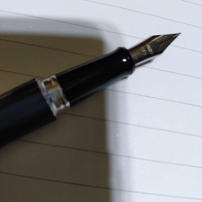 Penna stilografica (pilota)