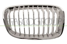 Griglia radiatore BM1232013