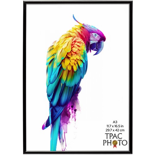 Cornice portafoto retroloader