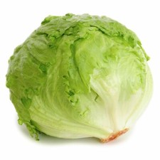 Iceberg Lettuce Seeds |