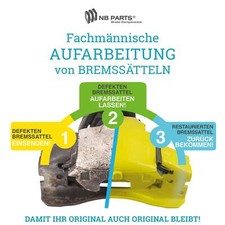 Revisione Pinza Freno