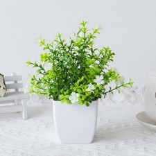 Confezione piante finte - 4,