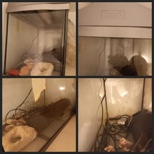 ACQUARIO TETRA PIU' ACCESSORI