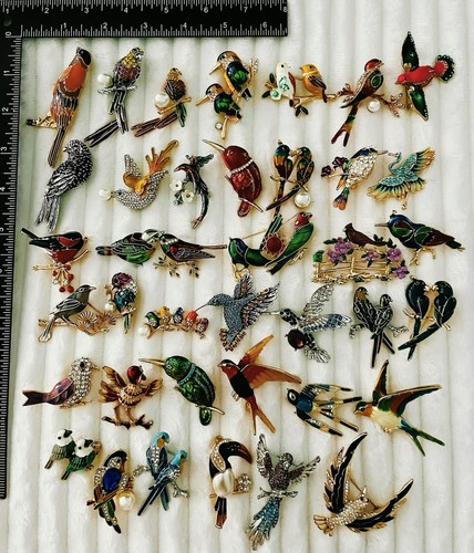 Lotto spille uccellino - , 40