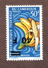 Colonies Française Cameroun