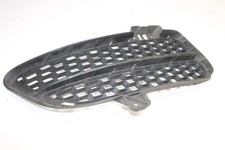 Griglia inferiore paraurti