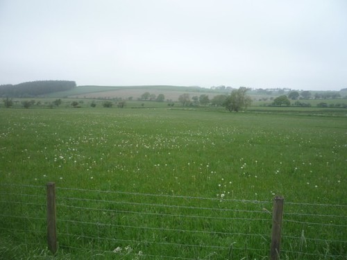 Photo 6x4 grazing off the - photo,
