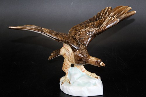 Bellissima aquila - aquila, in