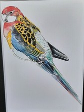 Stampa ad acquerello di un