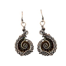 Ammonite rame fossile regalo