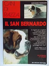 Il San Bernardo Giovanni