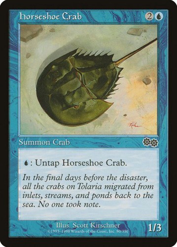 Horseshoe crab - horseshoe, (80)