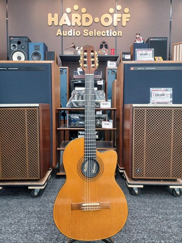 Chitarra elettrica acustica