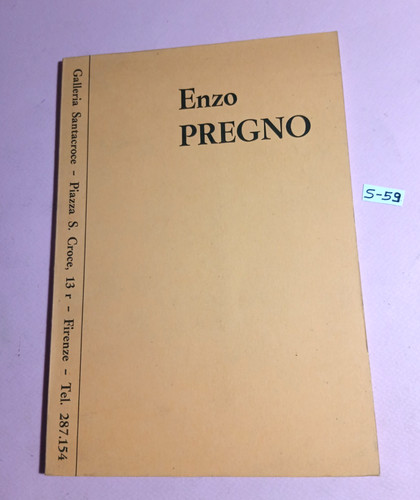 Libro arte enzo pregno - libro,