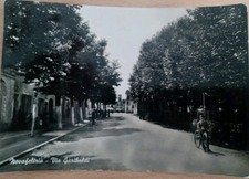 Novafeltria    RIMINI   Via Garibaldi Animata Bimbo E Bici 1953 BELLA 