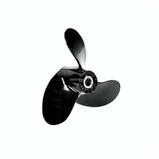 Elica Evinrude Johnson BRP - 1