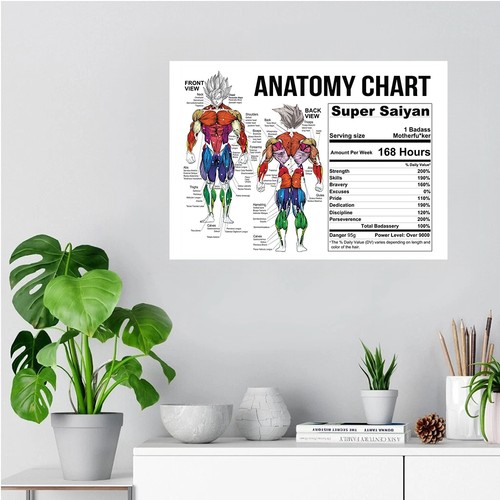 Poster anatomia allenamento