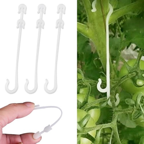 Pezzi clip per piante - per, j