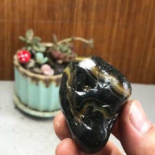 Bonsai Naturale Suiseki Gobi