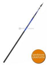 CANNA BOLOGNESE TUBERTINI