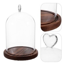  Vetrina in vetro cupola per