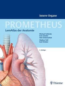 Prometheus innere organe - innere,