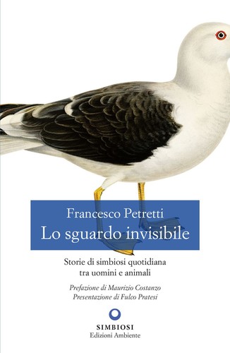 Sguardo invisibile storie - sguardo,