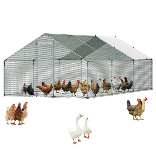 Pollaio grande 3x5 95x2 in - pollaio,