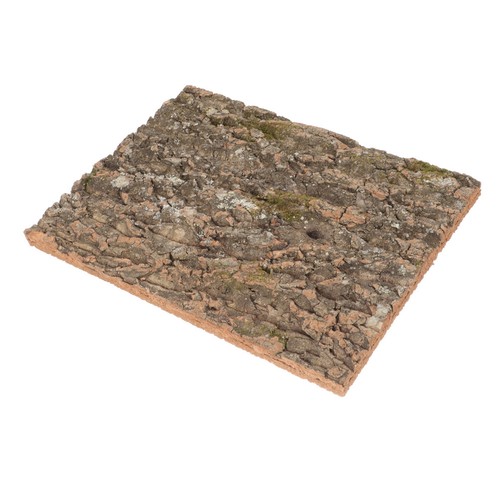 Corteccia albero rettile