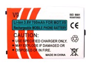 Batteria interna compatibile