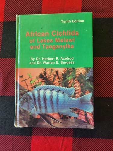African cichlids lakes - cichlids,