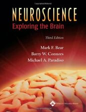 Neuroscience: Exploring the