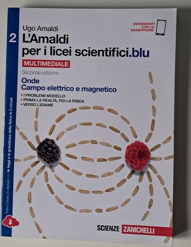 Amaldi per i licei - l',