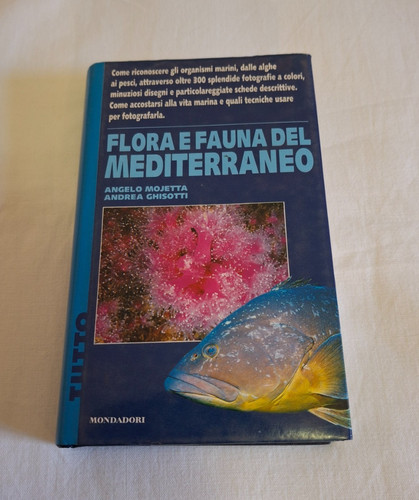 Angelo mojetta flora - mojetta, e