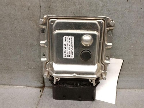 A0009004213 centralina motore