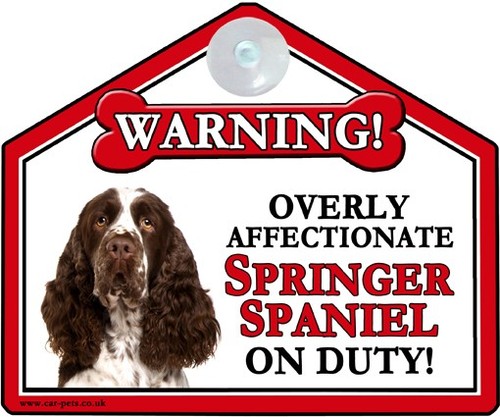 Springer spaniel regalo - regalo, amante