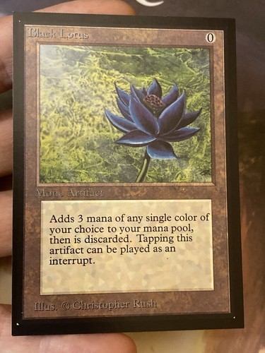 Black lotus international - black,