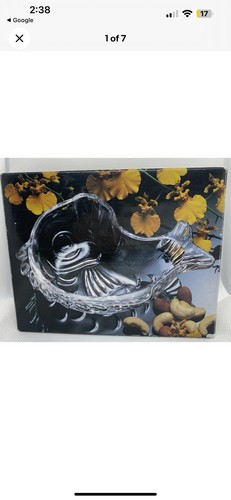 Studio nova vetro - pesce, koi
