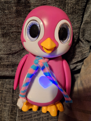Rescue penguin animale - rescue,