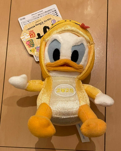 Giappone tokyo disney resort - tokyo,